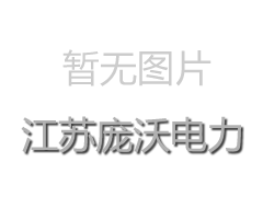 江苏庞沃电力为中国能源股份有限公司提供海外